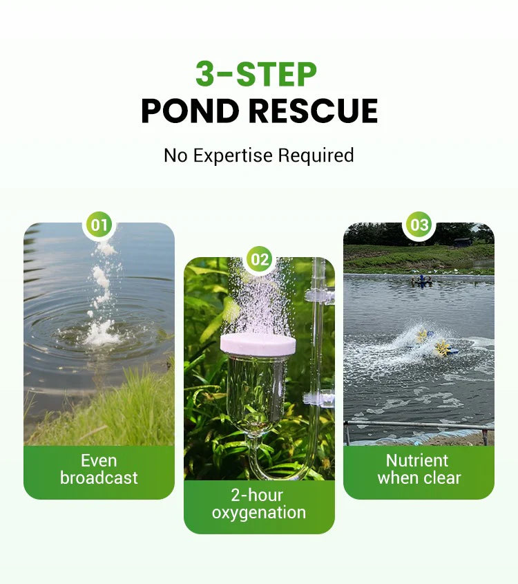 Premium Pond Care Powder | Water Clarifier & Algae Control 🐟